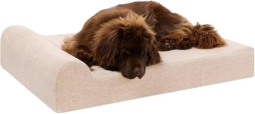 Barker Beds Orthopedic