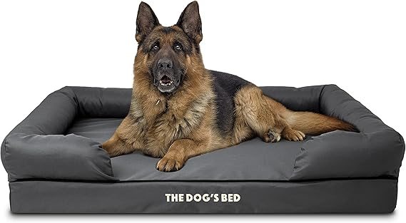 Brindle Premium Orthopedic Dog Bed