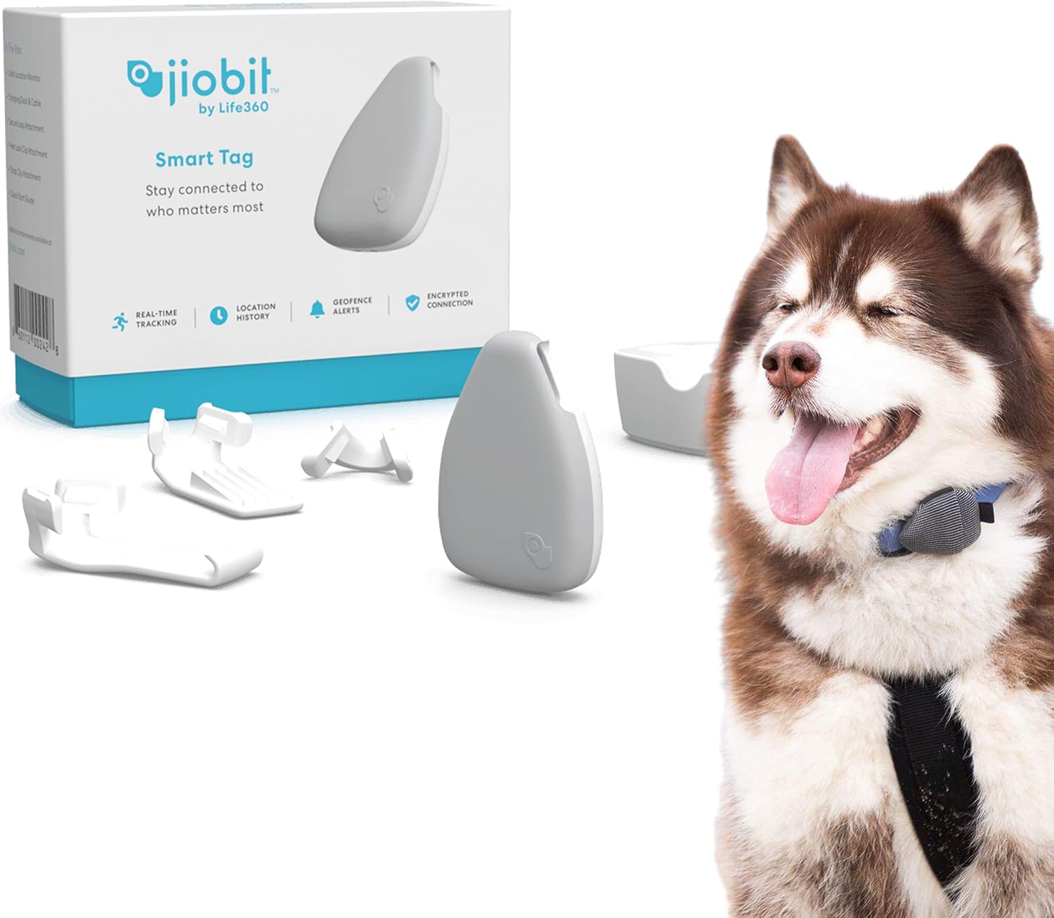 Jiobit Lightweight and Water-Resistant Real-Time GPS Dog Tracker