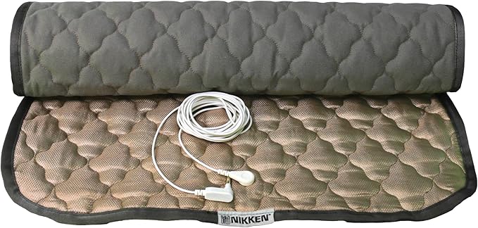 Nikken KenkoGround 2200