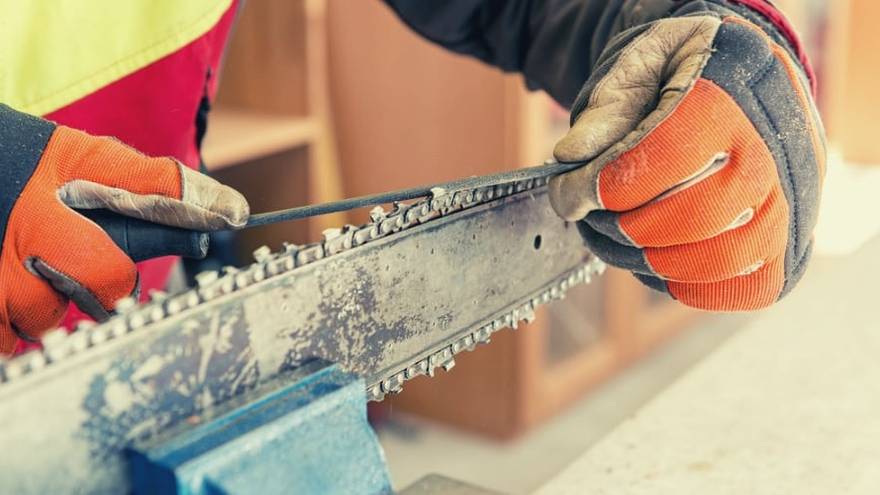Best 5 Chainsaw Sharpeners in 2026 – Ava's Review