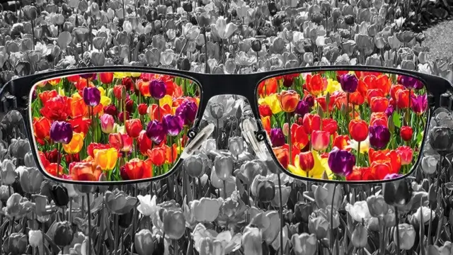 Best 5 Colorblind Glasses in 2026 AUS – Ava's Review