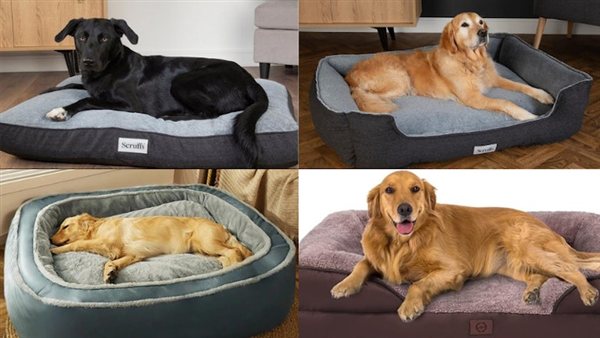 Best 5 Dog Beds in 2026 – Ava's Review