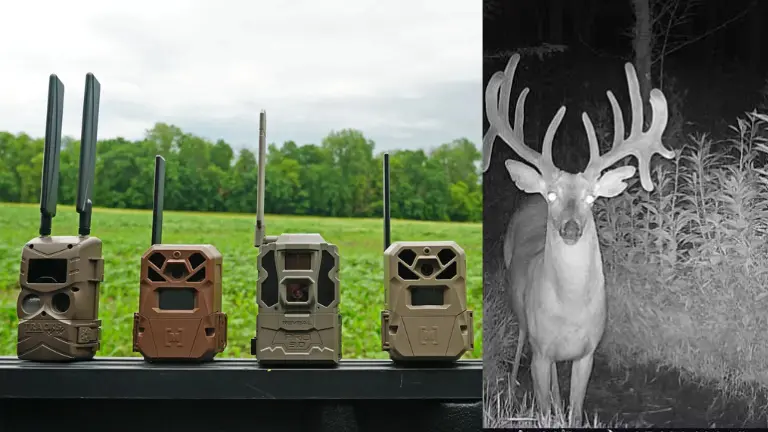 Best 5 Trail Cameras in 2026 UK – Ava's Review