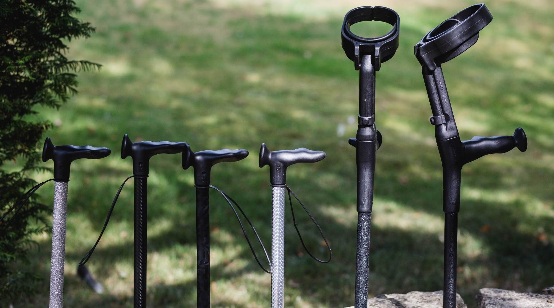 Best 5 Walking Canes in 2026 – Ava's Review