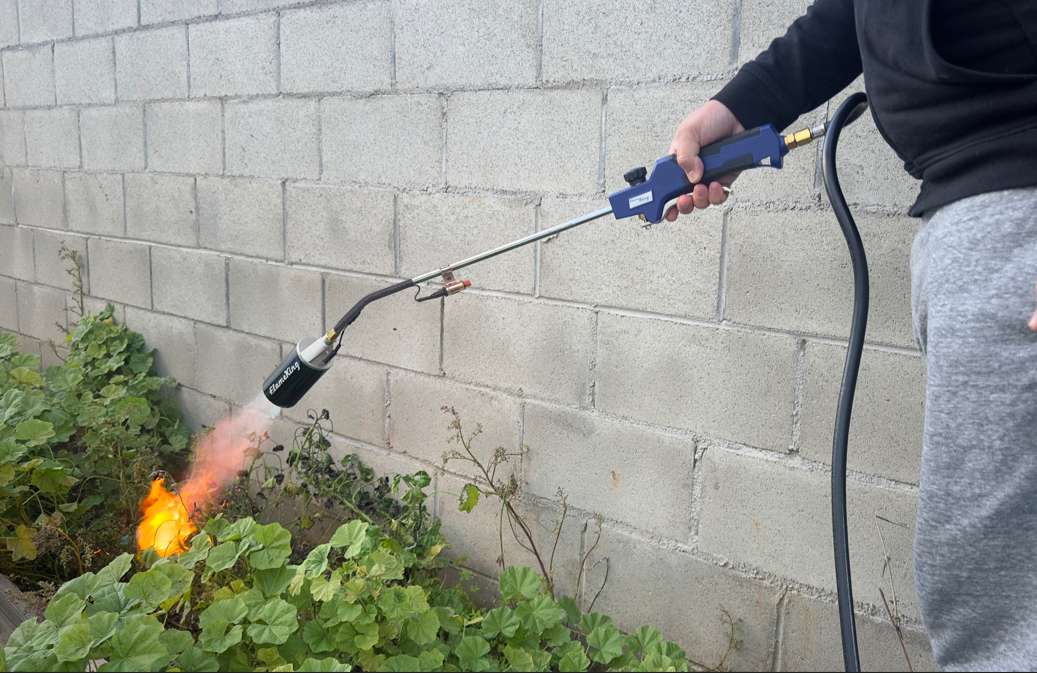 Best 5 Weed Burners in 2026 - Ava's Review