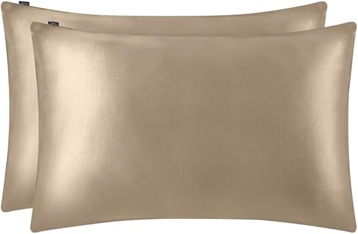 LILYSILK 2 Pack Silk Pillowcase 19 Momme