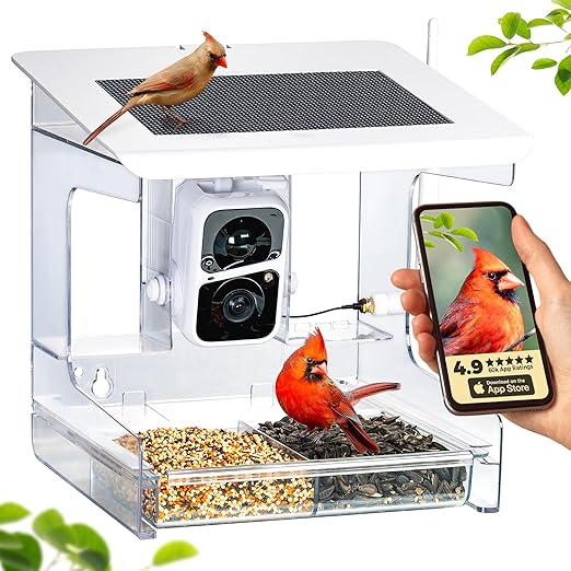 Smart Cam Bird Feeder